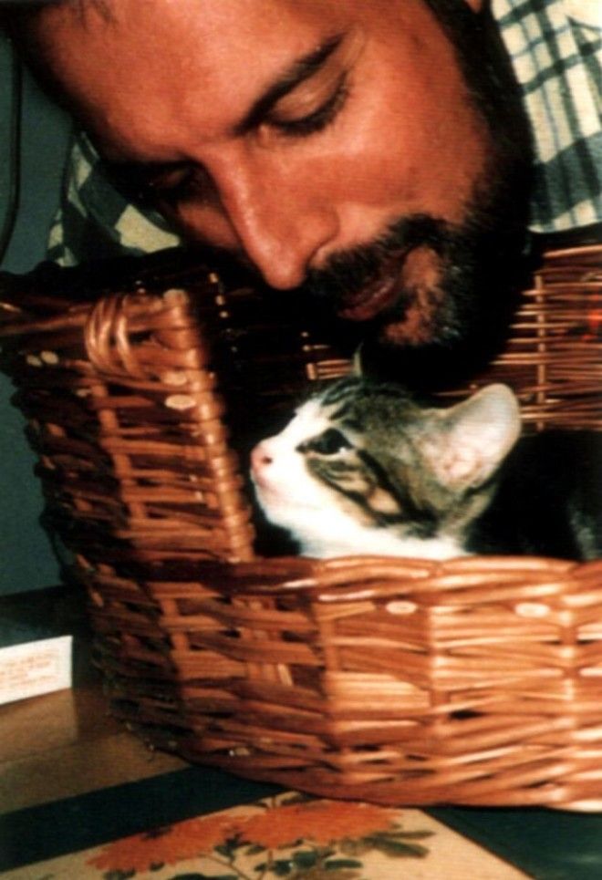 Очаровательное фотографии Фредди Меркьюри с его любимыми кошками