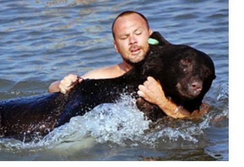 Он спас огромного медведя, тонущего в океане, и вот что было дальше....