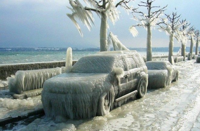 Насколько же удивителен мир, в котором мы живем.