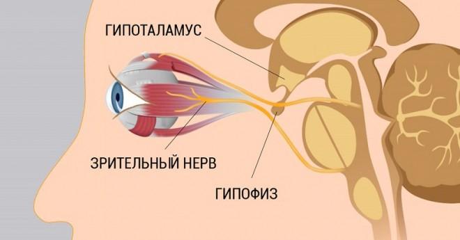 Работает, даже если Вы носите очки!