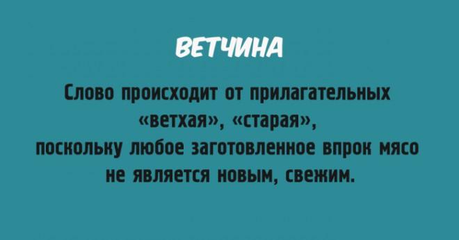 Грамотному человеку мало иметь широкий словарный запас, он должен говорить правильно. 