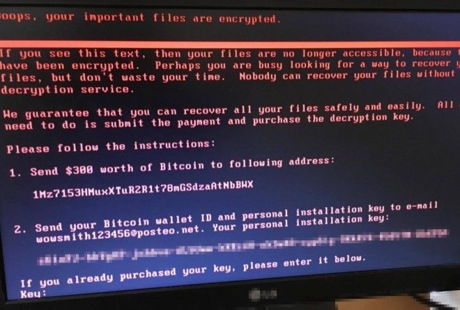 Что нужно делать, чтобы защититься от вируса Petya.A