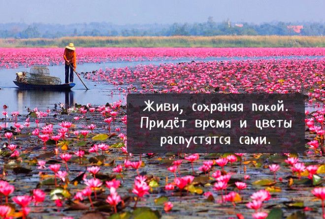 Полезна для души